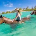 See why riding swimming horses is one of the best things to do in Grand Cayman with kids