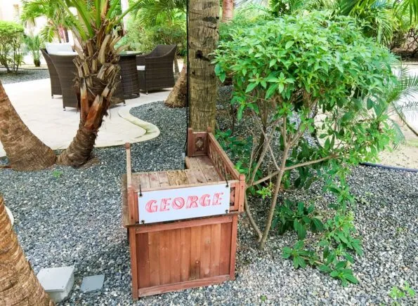 The Ritz-Carlton, Grand Cayman has two house cats... George and Ginger.