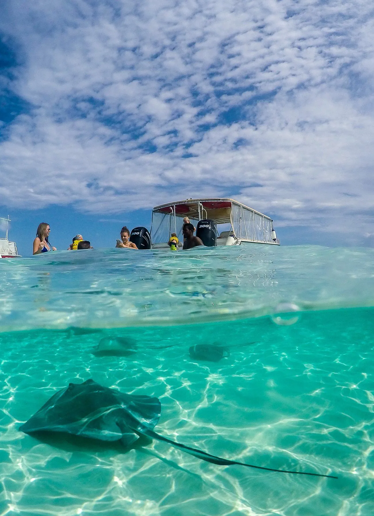 Stingray City is a great thing to do in Grand Cayman with kids (or without).