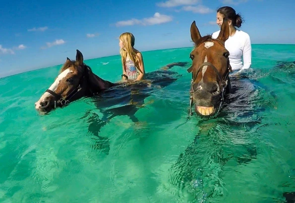 Yes, you can ride a swimming horse on your next family vacation to Grand Cayman.