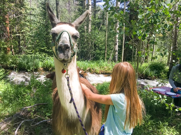 Llama trekking with Paragon Guides is a great thing to do with kids in Vail, Colorado