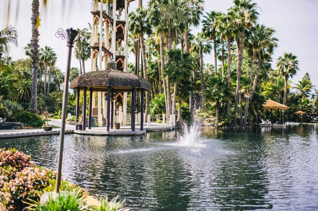 Paradise Point Resort pool
