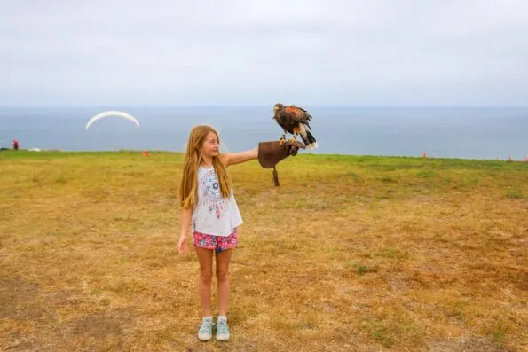 A photo with a Harris's hawk during a Sky Falconry lesson in La Jolla.