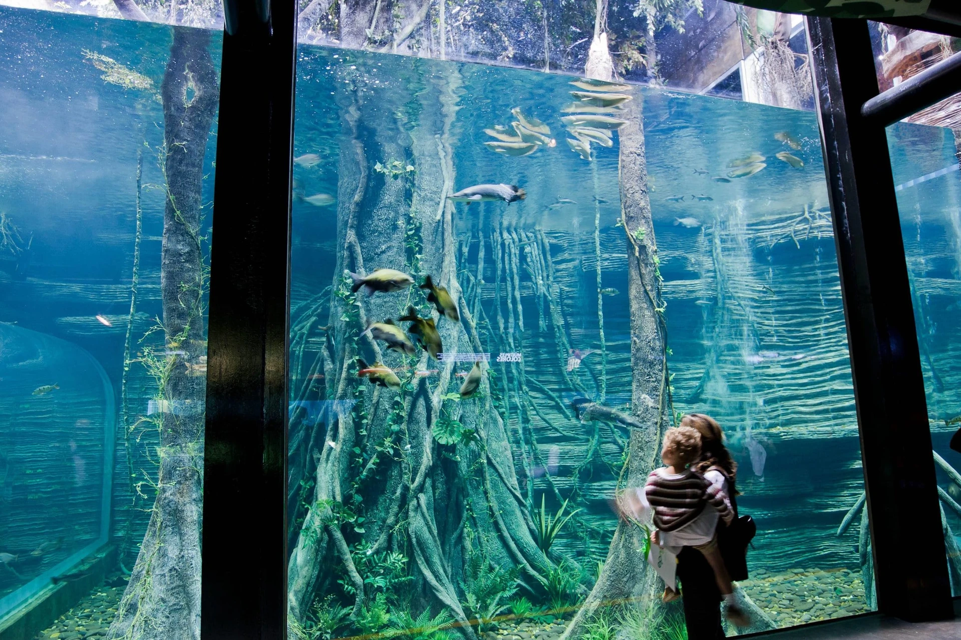 Parque Explora in Medell&iacute;n, Colombia has an aquarium and planetarium.