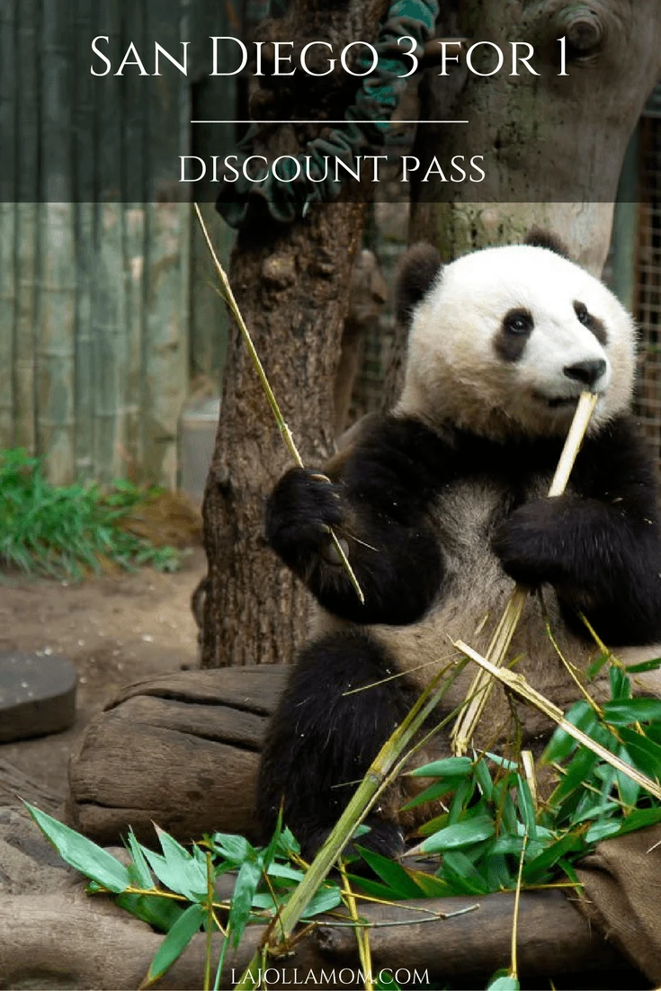 The San Diego 3 for 1 pass provides unlimited admission to three of our best attractions over 7 days. Let's analyze if this discount pass is worthwhile.