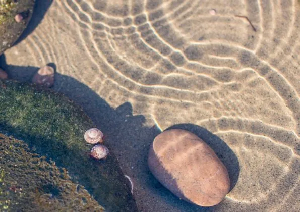 best la jolla tide pools 