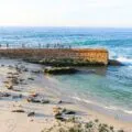Best beaches in La Jolla