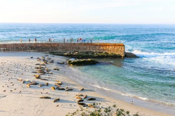 Best beaches in La Jolla
