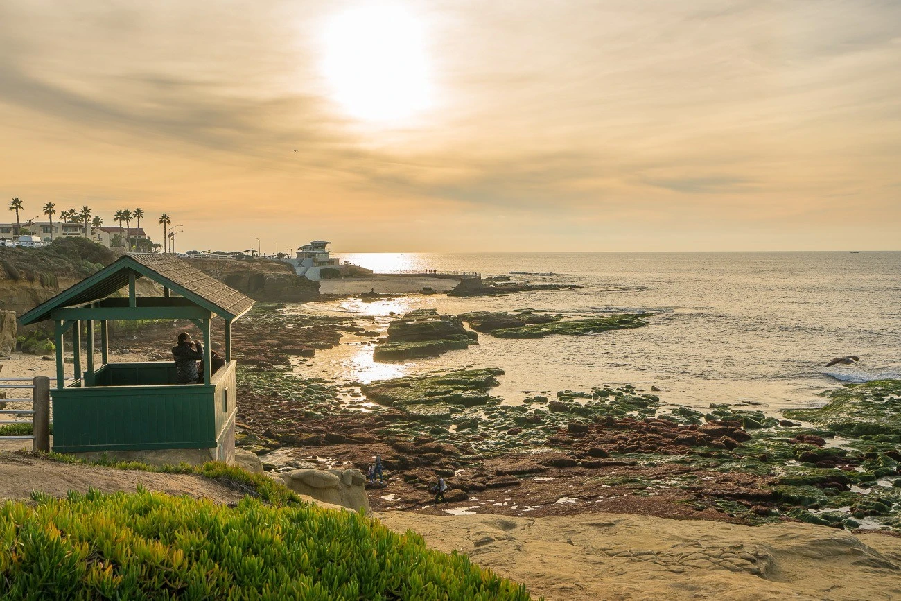 La Jolla Shell Beach tide pools at golden hour in the winter.