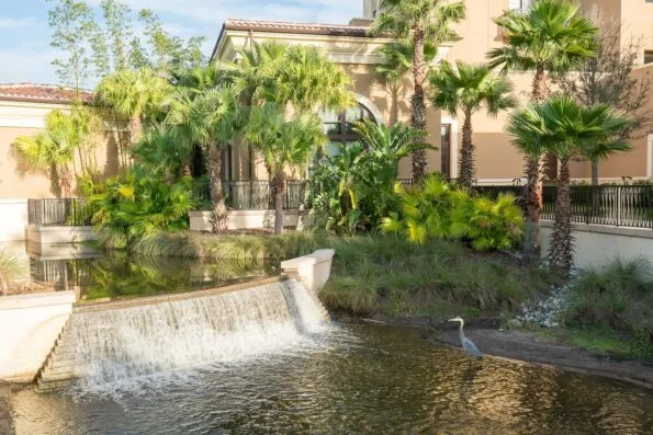 Wildlife can be seen roaming around Four Seasons Resort Orlando at Walt Disney World Resort.