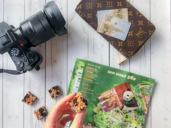 Get your tickets in advance for Balboa Park and the San Diego Zoo. Then look at the map and plan an itinerary in advance if you want to see both in the same day.