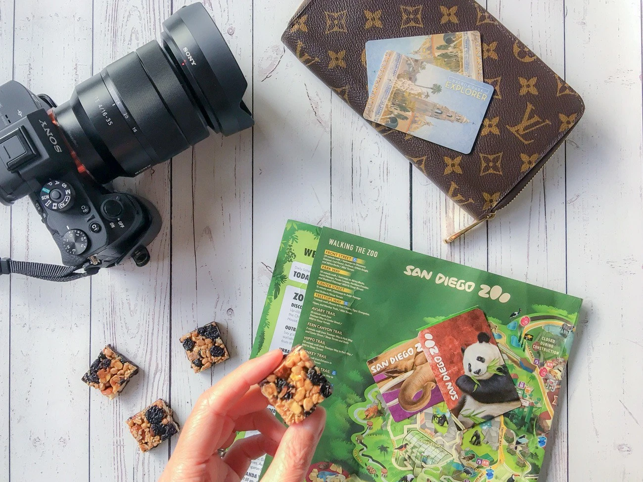 Get your tickets in advance for Balboa Park and the San Diego Zoo. Then look at the map and plan an itinerary in advance if you want to see both in the same day.