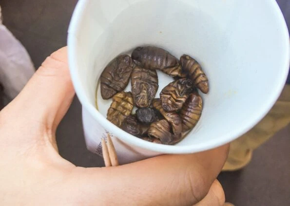 Silk worms are a popular street food snack in Seoul, South Korea.