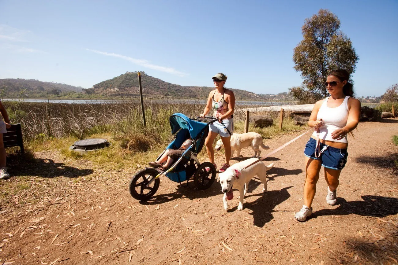 Carlsbad has over 50 miles of trails for walking, hiking and biking.