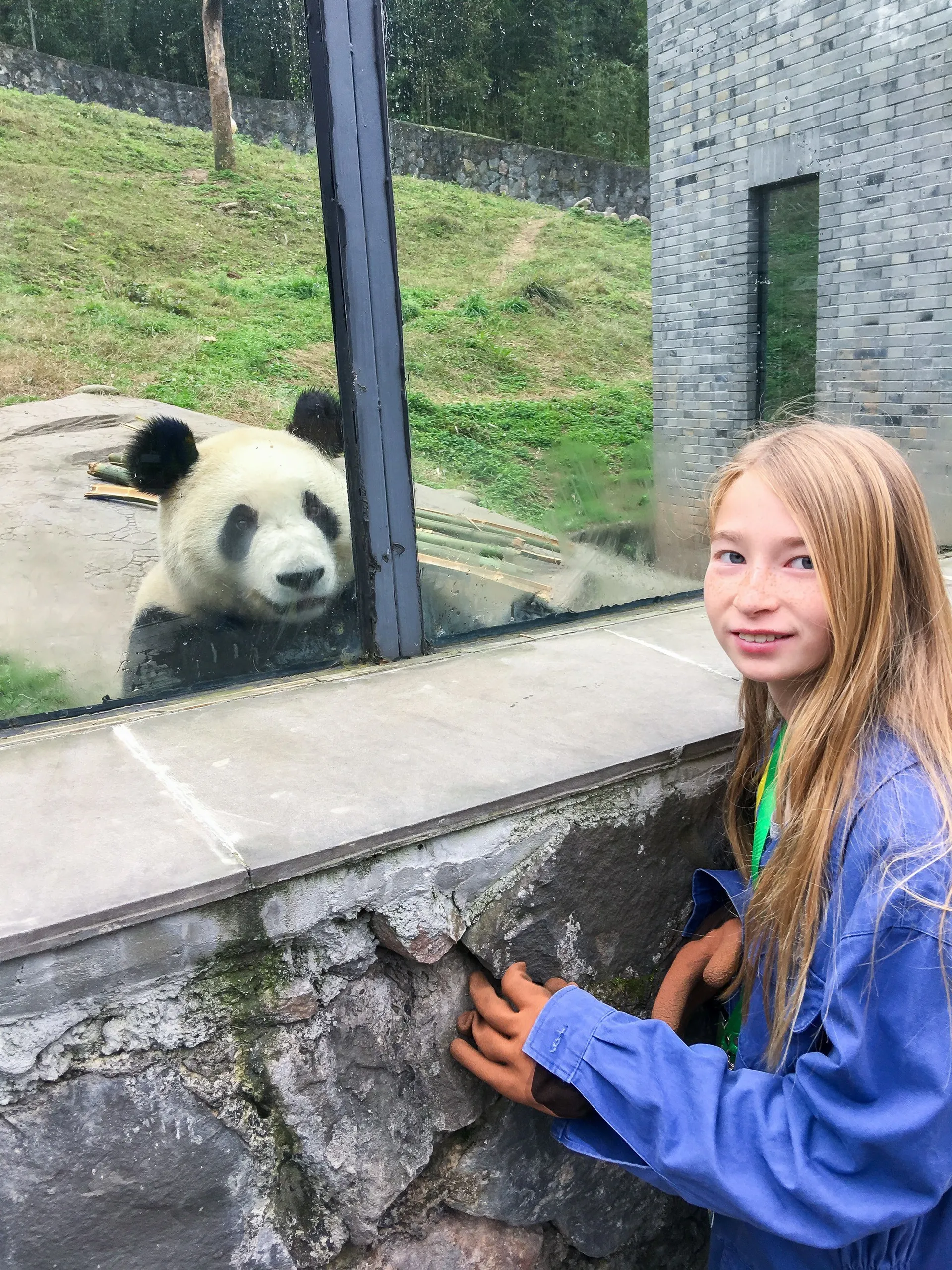 Volunteering at Dujiangyan Panda Base is a great thing to do in Chengdu.