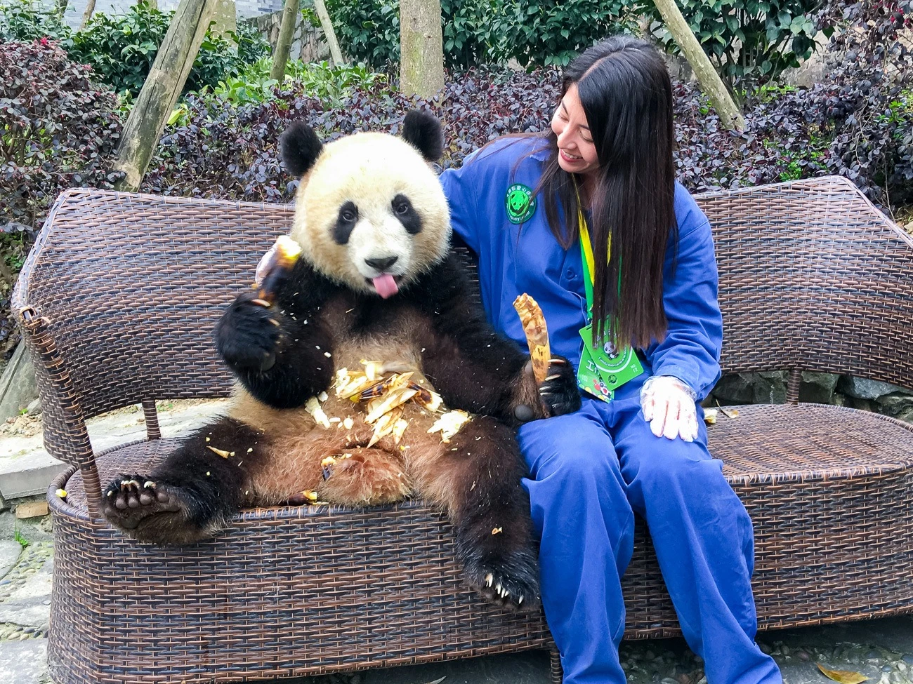 You can take a photo with a panda at Dujiangyan Panda Base in China.
