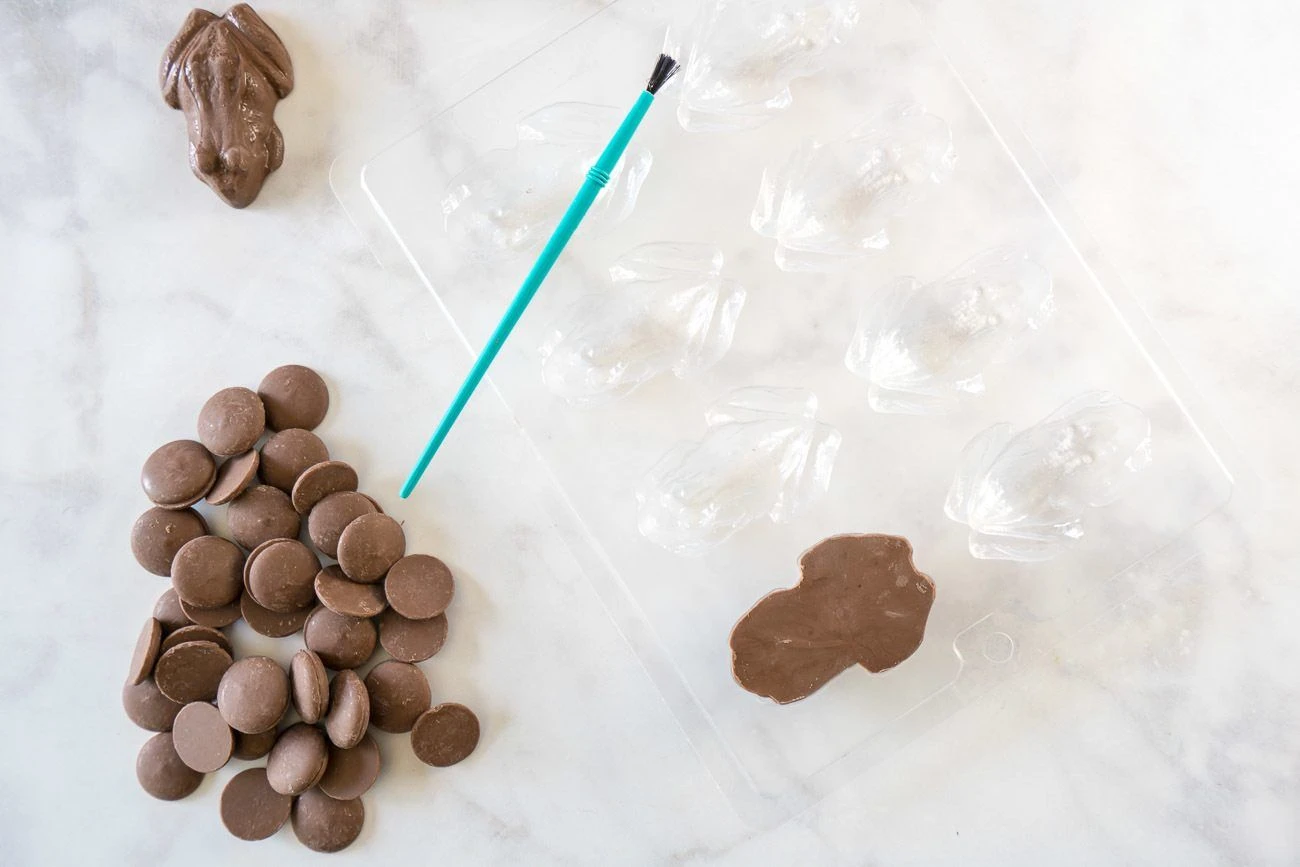 A candy frog mold and chocolates used for Harry Potter chocolate frogs.