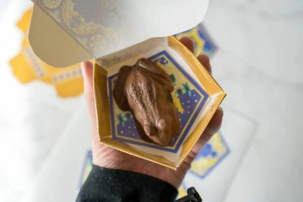 A DIY Harry Potter chocolate frog box.
