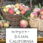 What to do in Julian, California, a perfect day trip from San Diego, including where to eat and drink, camping information, mining tours, hiking, and more.