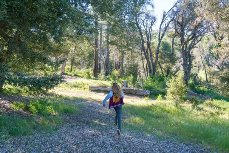 William Heise State Park campground in Julian, California