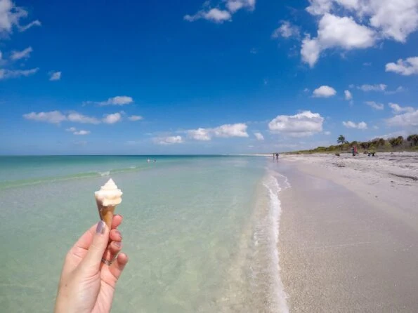 Go shelling at Cayo Costa island on a visit to Fort Myers.