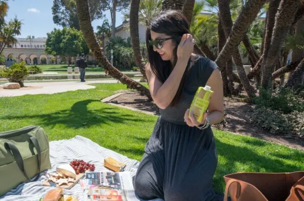What to bring on a picnic in San Diego.