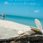 Tips for shelling in The Beaches of Fort Myers & Sanibel.