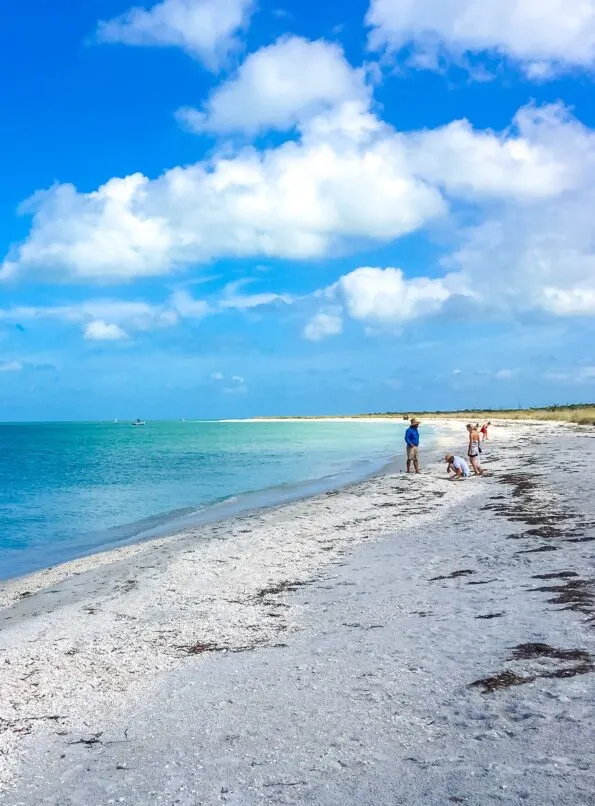 People shelling on The Beaches of Fort Myers & Sanibel.