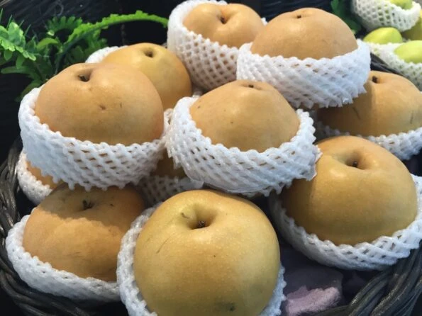 Asian pears with their bottoms wrapped in a foam cushion in a grocery store.