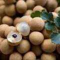 A pile of longan, exotic Asian Fruits