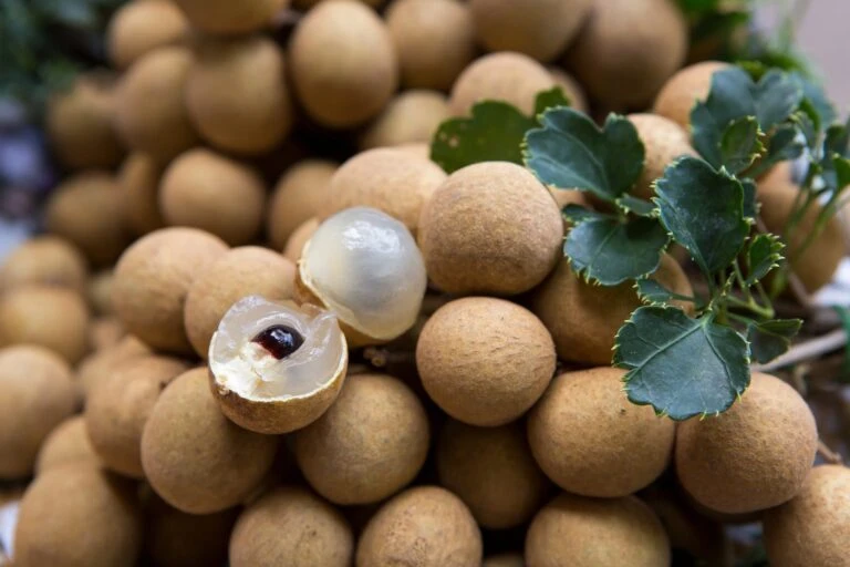 A pile of longan, exotic Asian Fruits