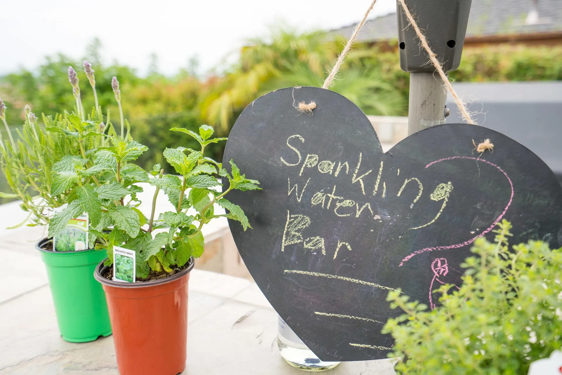 Pluck herbs and put them in sparkling water drinks!