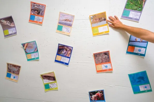 You can submit photos to the San Diego Natural History Museum.