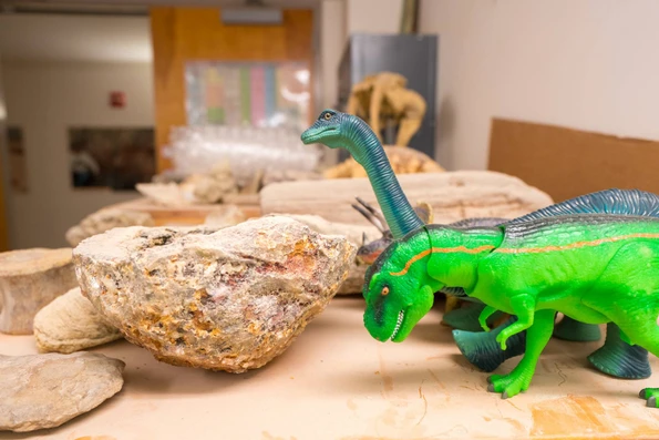 This is what scientists do behind the exhibit walls at the San Diego Natural History Museum and why it matters to you.