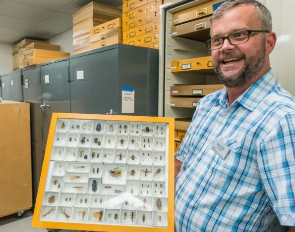 A small part of the San Diego Natural History Museum's Entomology collection.