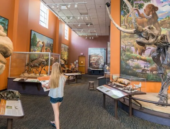 Kids love the scavenger hunts at the San Diego Natural History Museum.