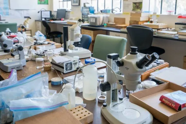 A lot happens behind the scenes at the San Diego Natural History Museum.