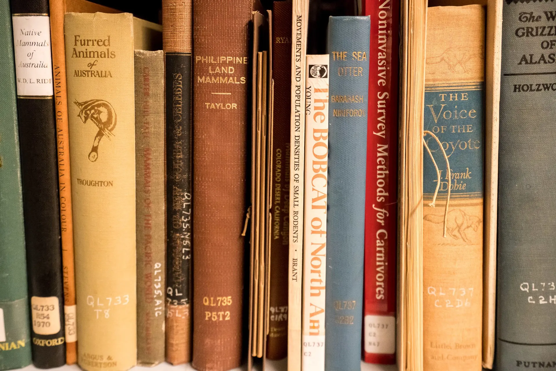 Vintage botany books at the San Diego Natural History Museum.