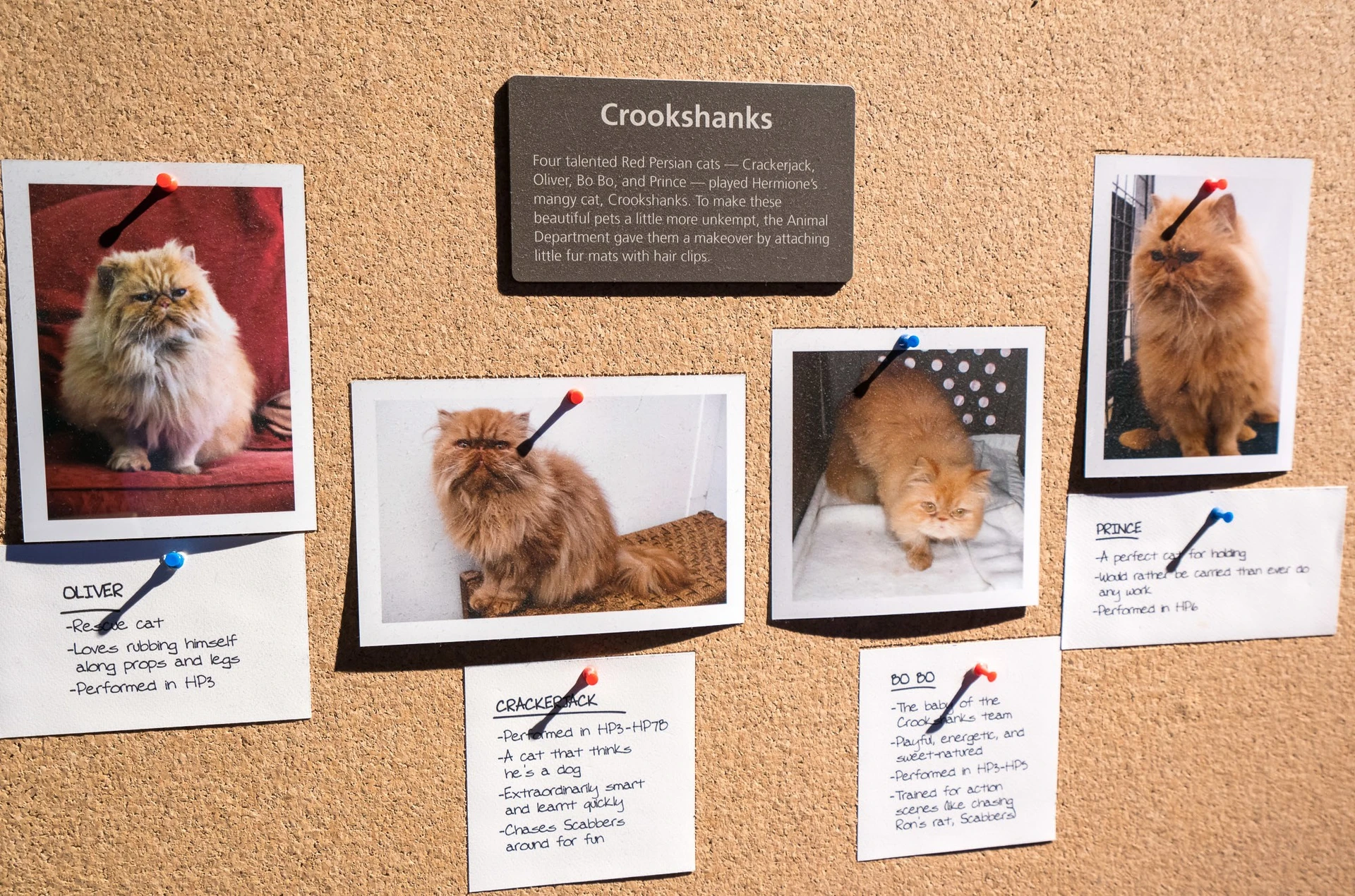 The animal actors like Crookshanks the cat in the Harry Potter movies.