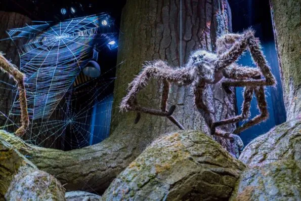 Spiders inside the Forbidden Forest as seen in Harry Potter movies at the Warner Bros. Studio Tour London.