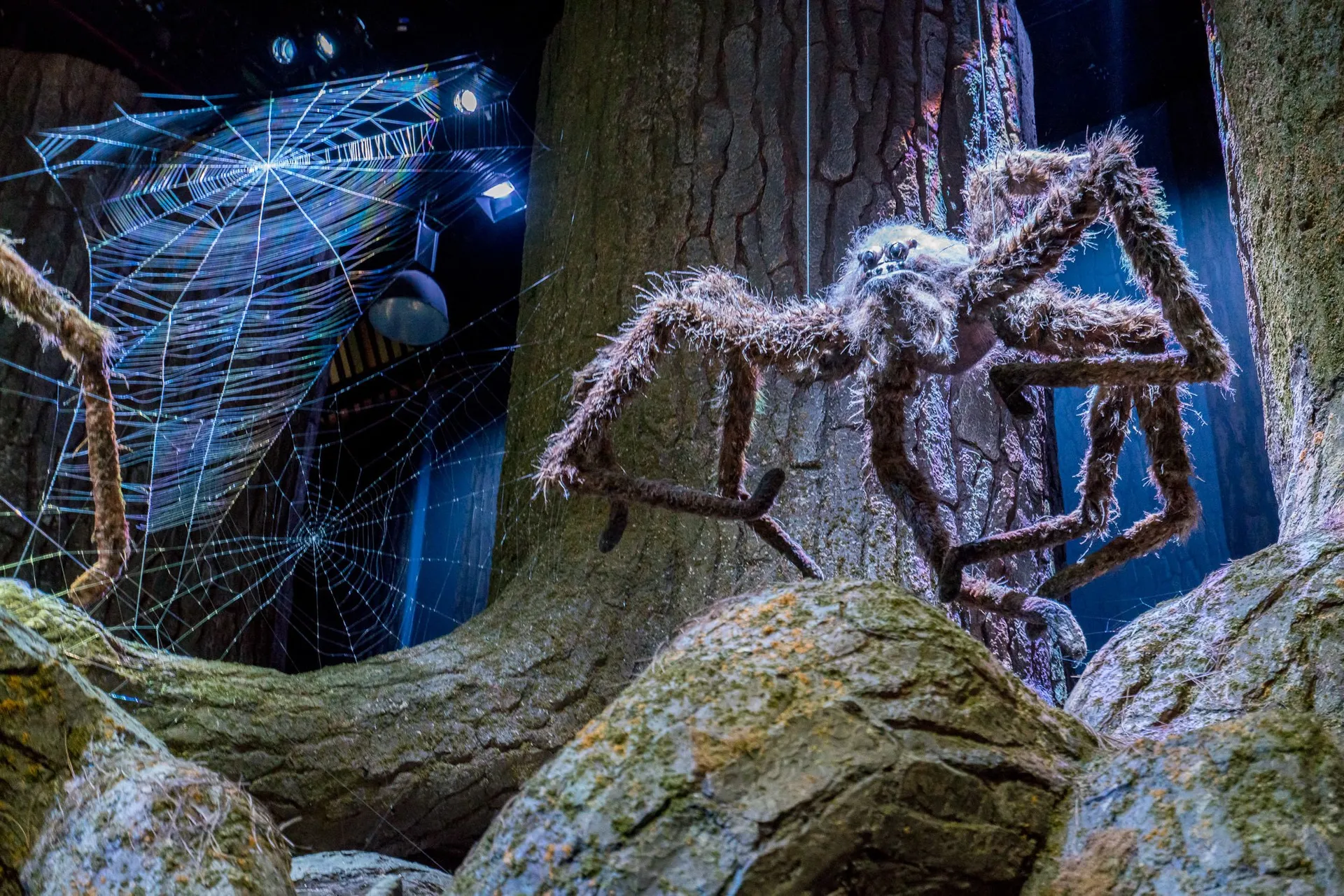 Spiders inside the Forbidden Forest as seen in Harry Potter movies at the Warner Bros. Studio Tour London.