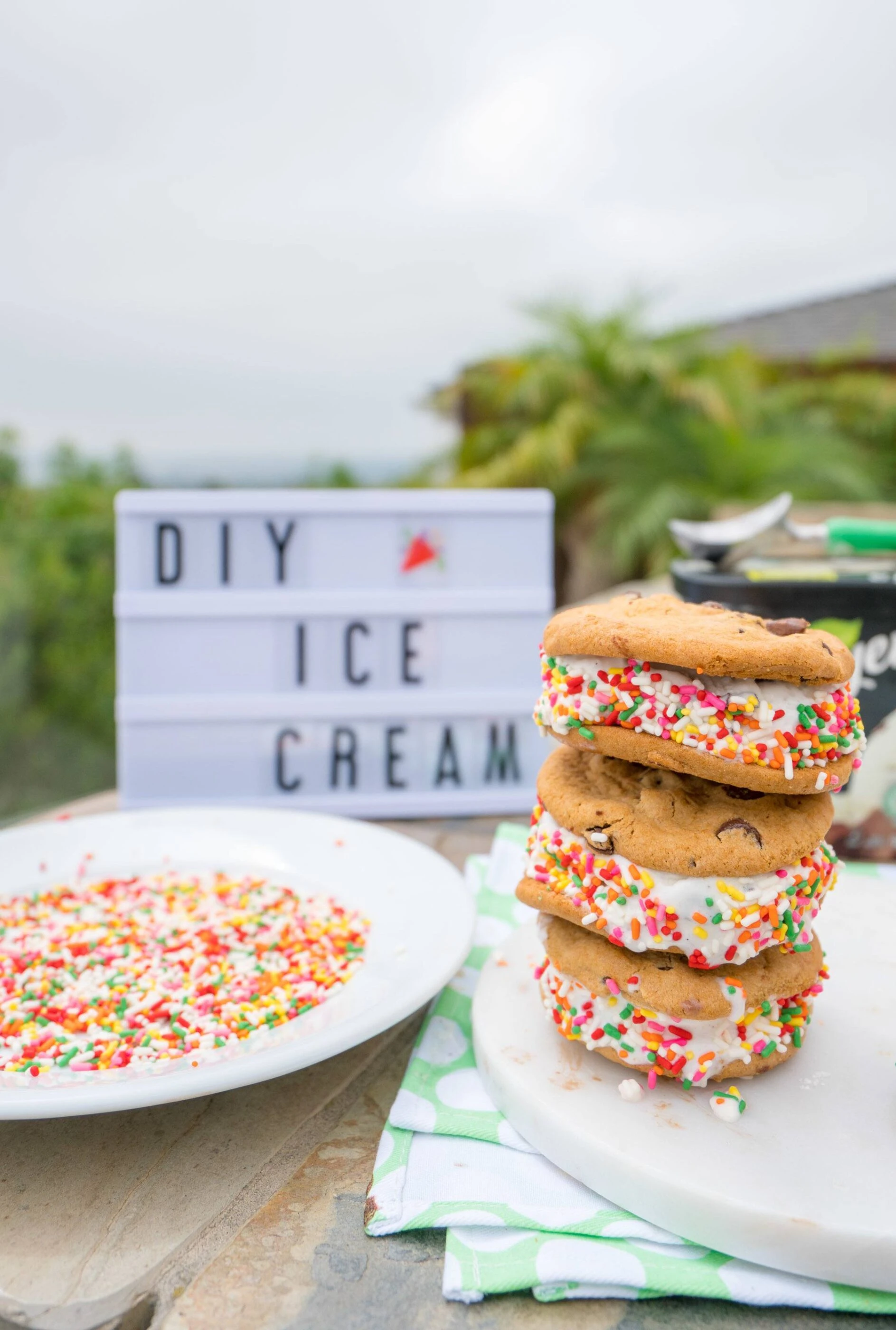 Make an easy ice cream sandwich in a few minutes with 2-3 store-bought ingredients.