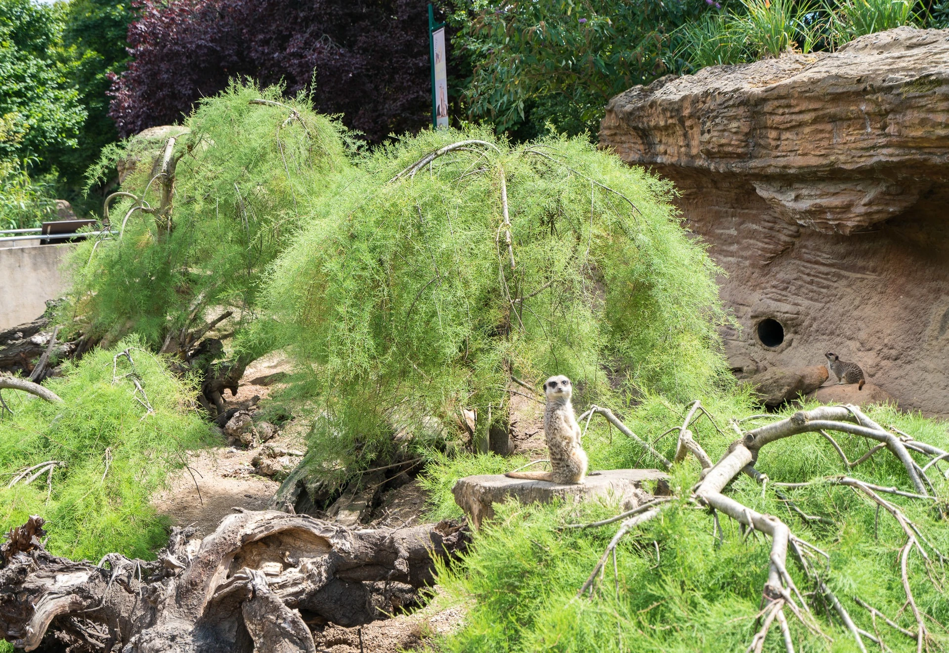 The London Zoo is part of the London Pass.