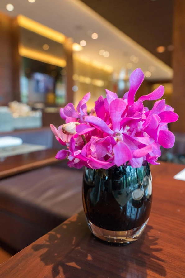 Orchids in a Club Lounge arrangement at Mandarin Oriental Pudong, Shanghai.