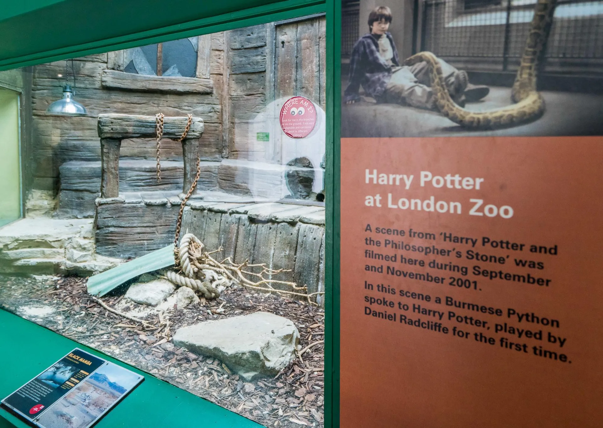 The Reptile House at London Zoo is where a scene from the first Harry Potter movie was filmed.