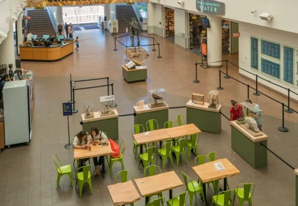 The Flying Squirrel Cafe at the San Diego Natural History Museum serves great to-go fare, a hot menu (awesome burger) and wine!