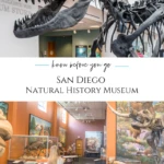 Local kids love San Diego Natural History Museum in Balboa Park. See what exhibits and activities they seek out and learn other tips for your visit.