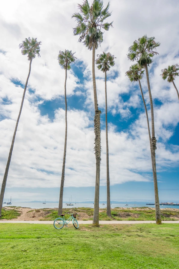 One of the best things to do in Santa Barbara is ride bikes along the beach. I explored on one of Hotel Indigo's bikes.