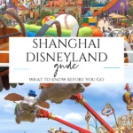 These are the things you must absolutely know before visiting Shanghai Disneyland including how to buy tickets, skip the lines for rides, and much more.