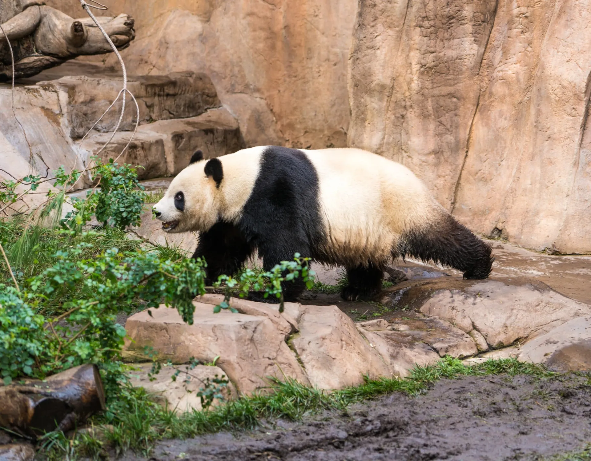 Top 10 Things to Do in San Diego